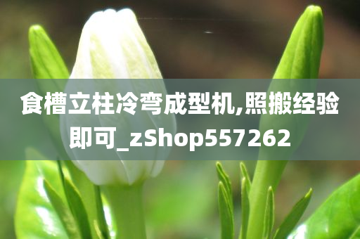 食槽立柱冷弯成型机,照搬经验即可_zShop557262