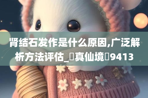 肾结石发作是什么原因,广泛解析方法评估_?真仙境?9413