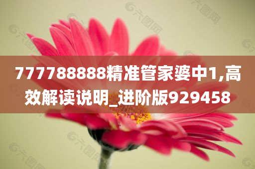 777788888精准管家婆中1,高效解读说明_进阶版929458