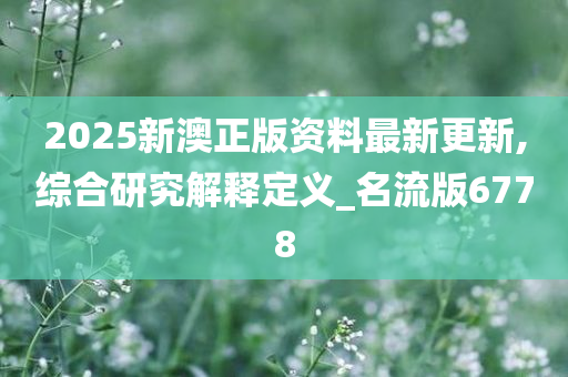 2025新澳正版资料最新更新,综合研究解释定义_名流版6778