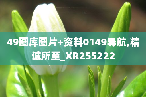 49图库图片+资料0149导航,精诚所至_XR255222