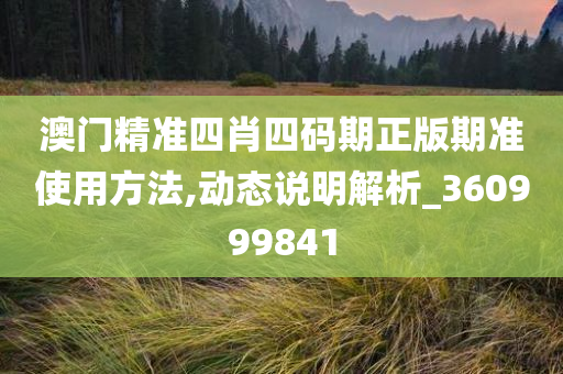 澳门精准四肖四码期正版期准使用方法,动态说明解析_360999841