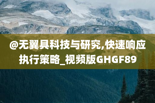 @无翼具科技与研究,快速响应执行策略_视频版GHGF89