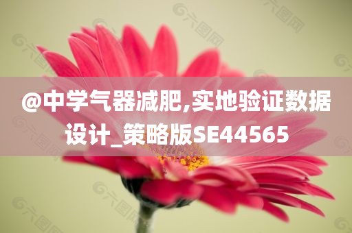 @中学气器减肥,实地验证数据设计_策略版SE44565