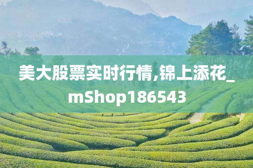 美大股票实时行情,锦上添花_mShop186543