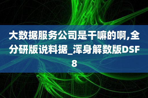 大数据服务公司是干嘛的啊,全分研版说料据_浑身解数版DSF8