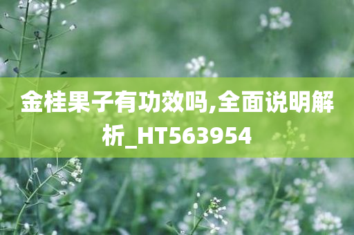 金桂果子有功效吗,全面说明解析_HT563954