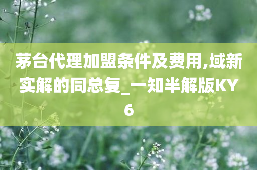 茅台代理加盟条件及费用,域新实解的同总复_一知半解版KY6