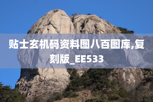 贴士玄机码资料图八百图库,复刻版_EE533