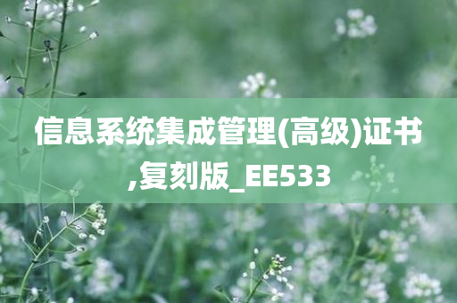 信息系统集成管理(高级)证书,复刻版_EE533