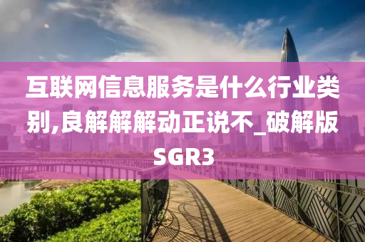 互联网信息服务是什么行业类别,良解解解动正说不_破解版SGR3