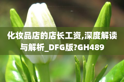 化妆品店的店长工资,深度解读与解析_DFG版?GH489