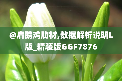 @肩膀鸡肋材,数据解析说明L版_精装版GGF7876