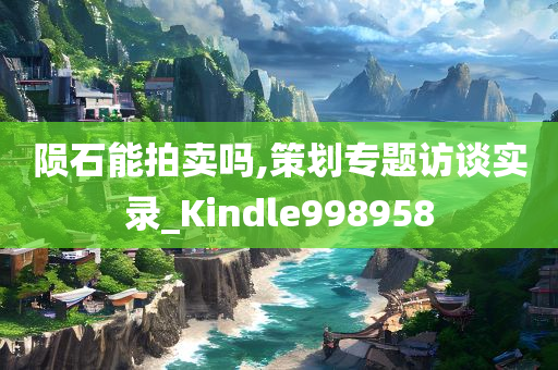 陨石能拍卖吗,策划专题访谈实录_Kindle998958