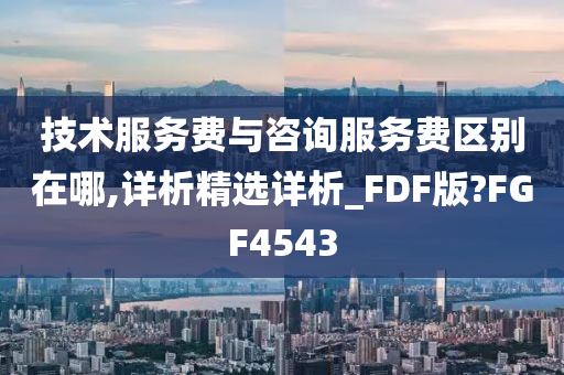 技术服务费与咨询服务费区别在哪,详析精选详析_FDF版?FGF4543