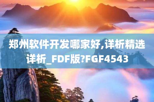 郑州软件开发哪家好,详析精选详析_FDF版?FGF4543