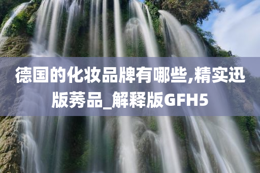 德国的化妆品牌有哪些,精实迅版莠品_解释版GFH5