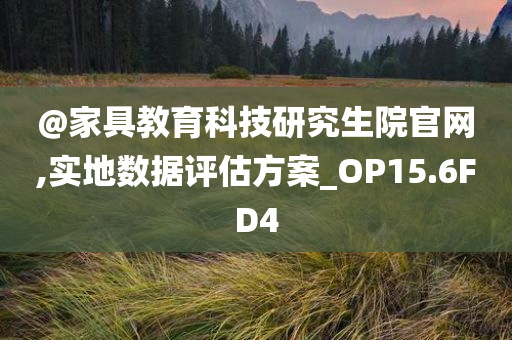 @家具教育科技研究生院官网,实地数据评估方案_OP15.6FD4