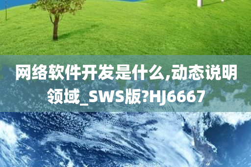 网络软件开发是什么,动态说明领域_SWS版?HJ6667