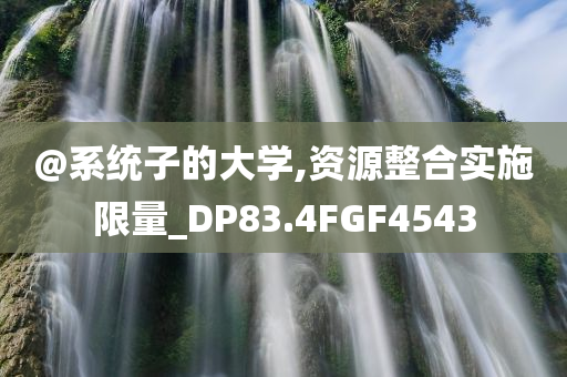 @系统子的大学,资源整合实施限量_DP83.4FGF4543