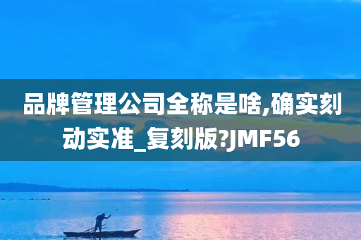 品牌管理公司全称是啥,确实刻动实准_复刻版?JMF56