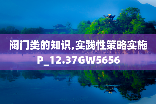 阀门类的知识,实践性策略实施P_12.37GW5656