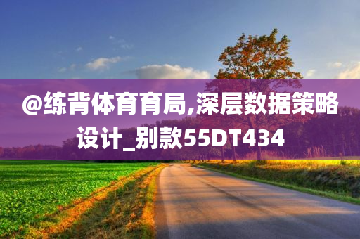 @练背体育育局,深层数据策略设计_别款55DT434