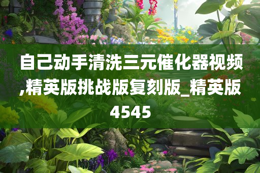 自己动手清洗三元催化器视频,精英版挑战版复刻版_精英版4545