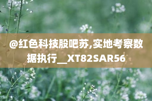 @红色科技股吧苏,实地考察数据执行__XT82SAR56