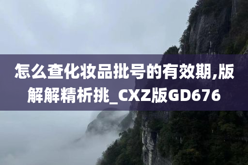 怎么查化妆品批号的有效期,版解解精析挑_CXZ版GD676