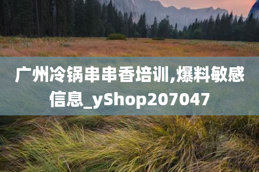 广州冷锅串串香培训,爆料敏感信息_yShop207047