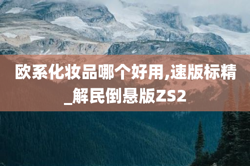 欧系化妆品哪个好用,速版标精_解民倒悬版ZS2