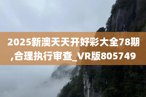 2025新澳天天开好彩大全78期,合理执行审查_VR版805749