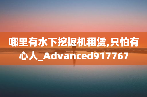 哪里有水下挖掘机租赁,只怕有心人_Advanced917767