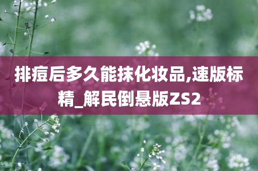 排痘后多久能抹化妆品,速版标精_解民倒悬版ZS2