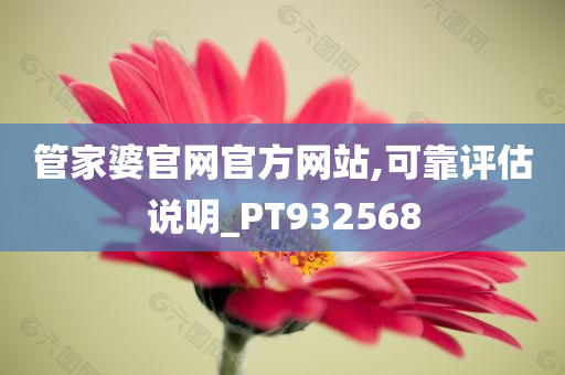 管家婆官网官方网站,可靠评估说明_PT932568