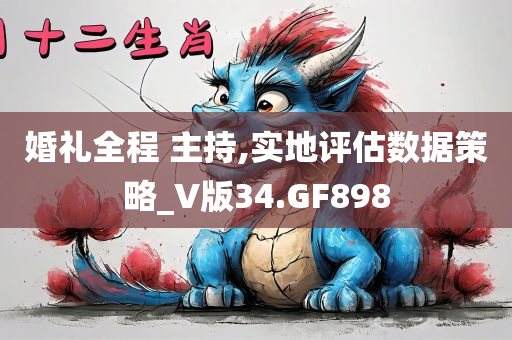 婚礼全程 主持,实地评估数据策略_V版34.GF898