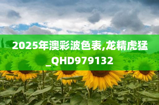 2025年澳彩波色表,龙精虎猛_QHD979132