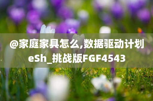 @家庭家具怎么,数据驱动计划eSh_挑战版FGF4543