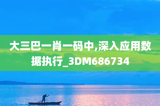 大三巴一肖一码中,深入应用数据执行_3DM686734