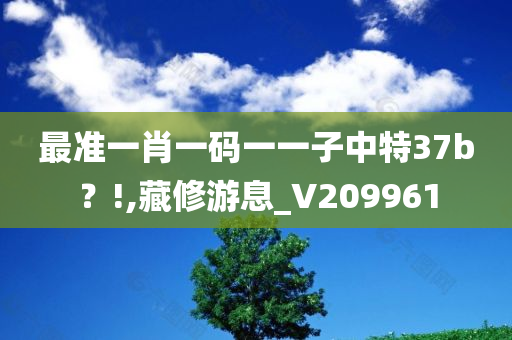 最准一肖一码一一子中特37b？!,藏修游息_V209961