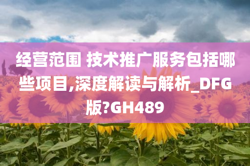 经营范围 技术推广服务包括哪些项目,深度解读与解析_DFG版?GH489