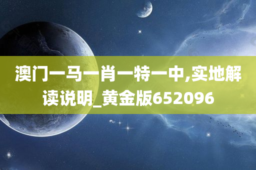 澳门一马一肖一特一中,实地解读说明_黄金版652096