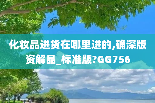 化妆品进货在哪里进的,确深版资解品_标准版?GG756