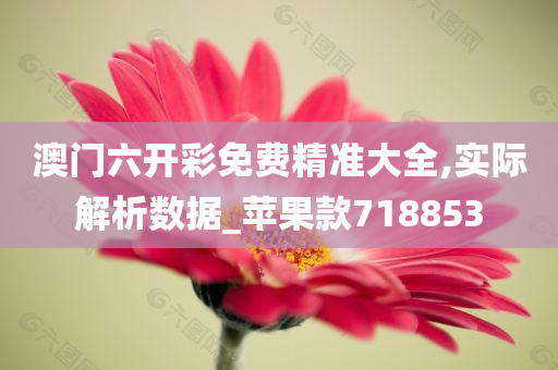 澳门六开彩免费精准大全,实际解析数据_苹果款718853