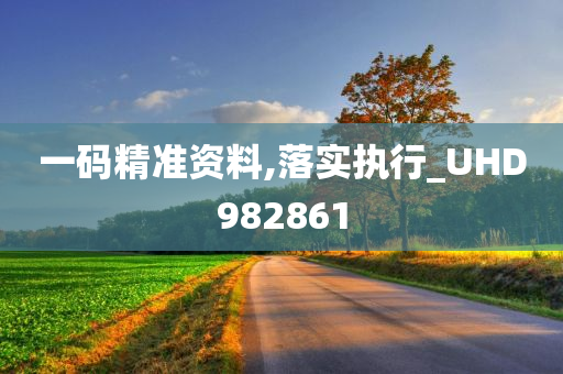 一码精准资料,落实执行_UHD982861