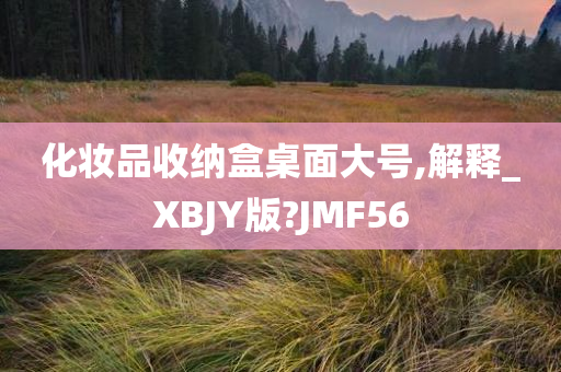 化妆品收纳盒桌面大号,解释_XBJY版?JMF56