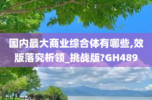 国内最大商业综合体有哪些,效版落究析领_挑战版?GH489