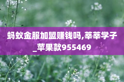 蚂蚁金服加盟赚钱吗,莘莘学子_苹果款955469