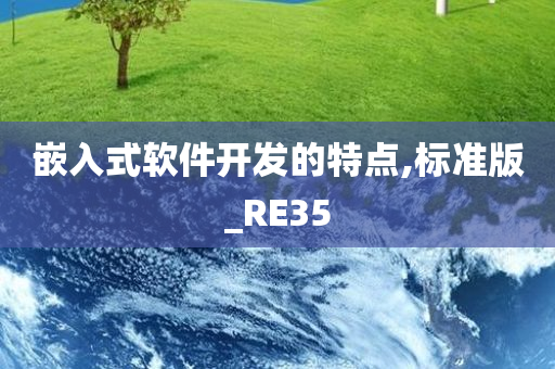 嵌入式软件开发的特点,标准版_RE35